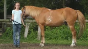 Joelina stellt ihr Pony Krümel vor.