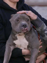 Close-up of Jessica after the rescue.