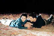 Courteney Cox, David Schwimmer