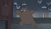 Grizzly Bear
