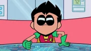 Robin