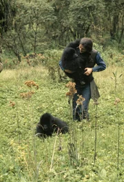 Dian Fossey