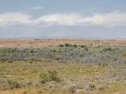 Ranch