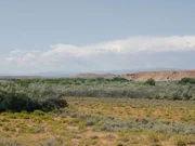 Landschaft