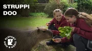 Für Luca erfüllt sich ein Traum: er darf mit Anuk und Lina zu den Capybaras. Die Wasserschweine haben nicht nur Hunger, sondern wollen auch gekrault werden