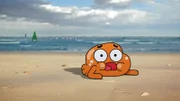 Darwin