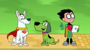 Krypto (l.), Robin (r.)