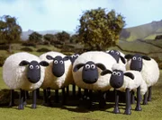 Shaun (vorn, re.) und seine Freunde leben auf der Weide eines idyllisch gelegenen Bauernhofes.