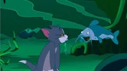 Tom.