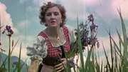Eva Braun pflückt Blumen.