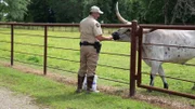 The Texas Game Wardens are responsible for protecting biodiversity and natural resources.