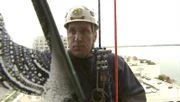 Host Curt Doussett and window washer