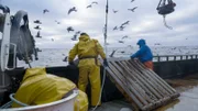 Time Bandit-Crew schleppt Gras über die Luft