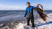Uli Kunz hat ein Stück Kelp mit an die Oberfläche gebracht: Die großen Braunalgen lieben kühles Wasser. Wenn die Temperaturen steigen, gehen die Bestände zurück.