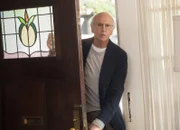 Larry David (Larry David)