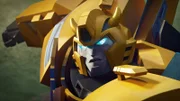 Bumblebee