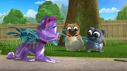 L-R: Hissy, Rolly, Bingo
