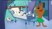 v.li.: Jerry, Tom, Red Herring
