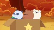 v.li.: Baby Panda, Baby Grizz, Baby Ice Bear