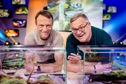 Frosch-Experte Dr. Sebastian Lotzkat (l.) ist zu Gast bei "1, 2 oder 3".