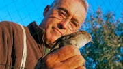 Der Ornithologe Alex Onrubia beringt Vögel in Andalusien.