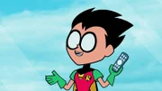Robin