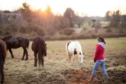 Ashley on the farm with four horses.