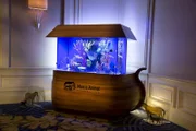 The finished "Noah's Ark" aquarium for the Morris Animal Foundation.