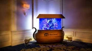 In dem Fish-Tank für die „Morris Animal Foundation“ tummeln sich Weißflecken-Kugelfische, Meerbarben und Leoparden-Junker.