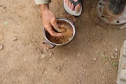 Gold in a pot.