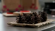 Zapfen schließen sich bei Kontakt mit Feuchtigkeit selbständig. Der Holztechnologe Stefan Kain von der FH Salzburg hat sich von diesem natürlichen Mechanismus inspirieren lassen und darauf aufbauend ein Frühwarnsystem aus Holz entwickelt, das Wasserschäden in Gebäuden anzeigen kann: rein mechanisch, ganz ohne Elektronik.