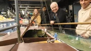 Was wäre das Wunderland ohne kleine Gags und liebevolle Gimmicks. Neuestes Überraschungshighlight: ein in einem Schiff versteckter T-Rex soll Besucher erschrecken.