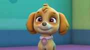 Skye