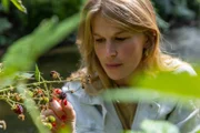 In freier Natur lassen sich Beeren bei uns nur in der Saison ernten.
