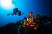 Ein Museumsbesuch in 30 Metern Tiefe: In der Ägäis unweit der griechischen Insel Alonnisos können Touristen einen Tauchgang zum Wrack eines um 425 v. Chr. gesunkenen Handelsschiff buchen.
