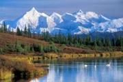 Viele Gebirge - wie hier in Alaska - entstehen durch die Kollision tektonischer Platten.