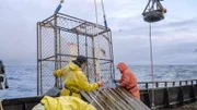Time Bandit crew hauling pot over rail.