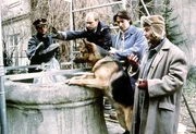 Kommissar Moser (Tobias Moretti) und Rex.