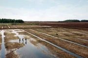 Pionierarbeit in Litauen: Ein Torfabbaugebiet wird wieder in ein Moor umgewandelt.