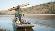 Charlie hauls a log.