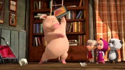 Das Schwein zeigt den anderen "Schattenfechten".