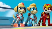 L-R: Ella, Tuck, Marshall