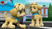 L-R: Ella, Tuck