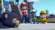 Hinter, l-r: Ryder, Rocky, Rubble