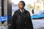 Deputy Inspector Regina Haywood (Amanda Warren)