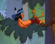 Yakari macht Bekanntschaft mit einem Flughörnchen.