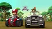 L-R: Ryder, Skye, Tracker