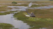 In die Wildnis der Everglades wagen sich nur wenige. Das Airboat ist ein gutes Fortbewegungsmittel auf dem „Grasfluss“…