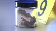 Nach der Analyse der Knochen steht fest: Es handelt sich um die sterblichen Überreste von Françoise Desnoue.