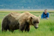 Der Klimawandel verändert die Jahresrhythmen in Alaska. Braunbären müssen deshalb ihr Fressverhalten anpassen.